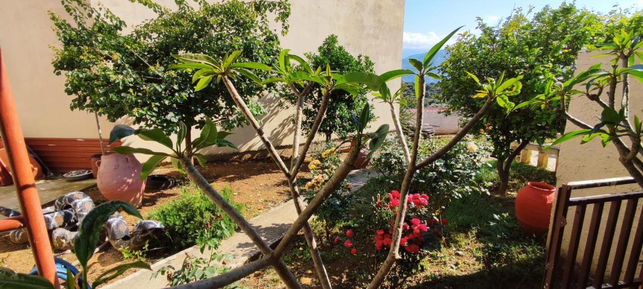 Village House With A Nice Garden Stérnai Exterior foto